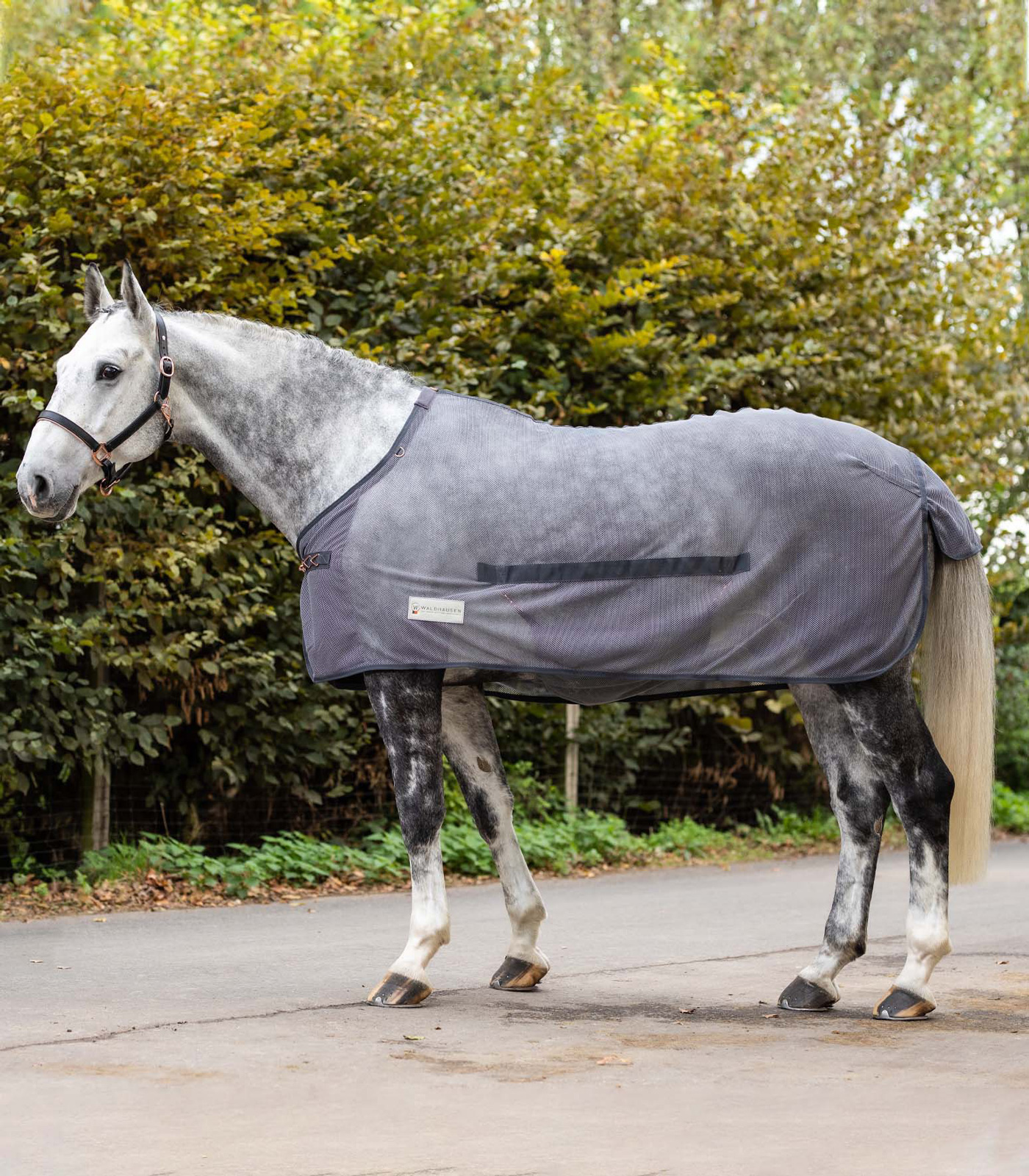 Waldhausen Comfort Fly Rug, with belly flap gray