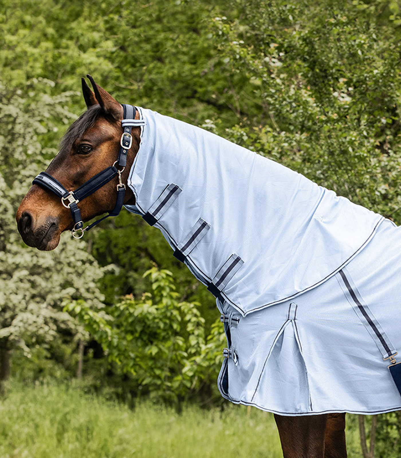 Waldhausen PROTECT fly rug neck light blue/dark blue, Cob - 2
