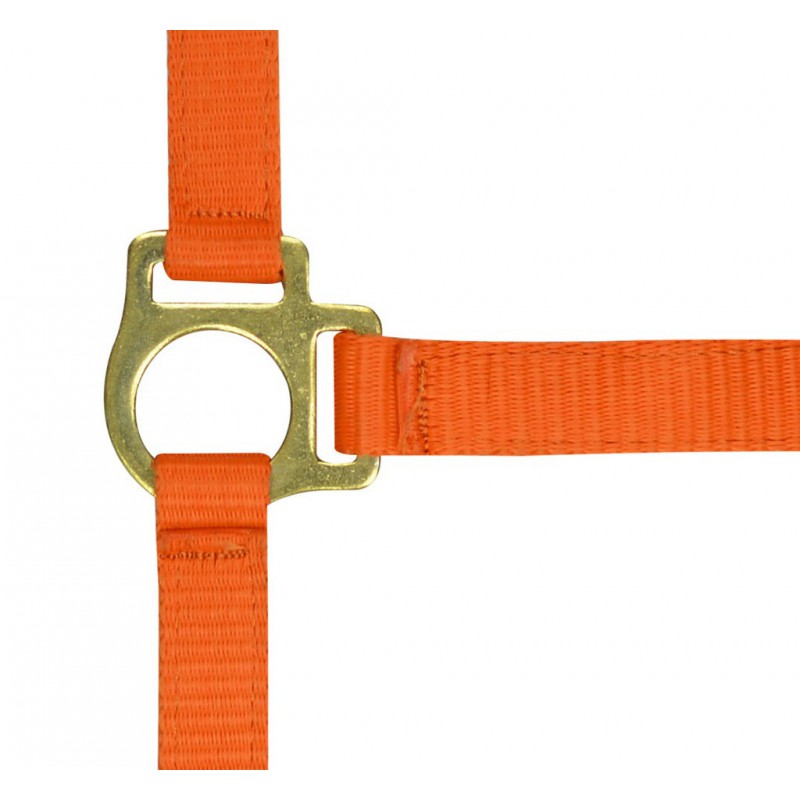 Norton Fölgrimma Med Grimskaft - Orange