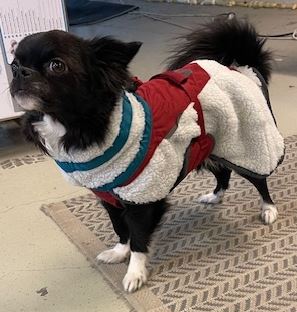Non-Stop Dogwear Trekking Fleece Jacket - Grå/Vinröd/Teal  - 2
