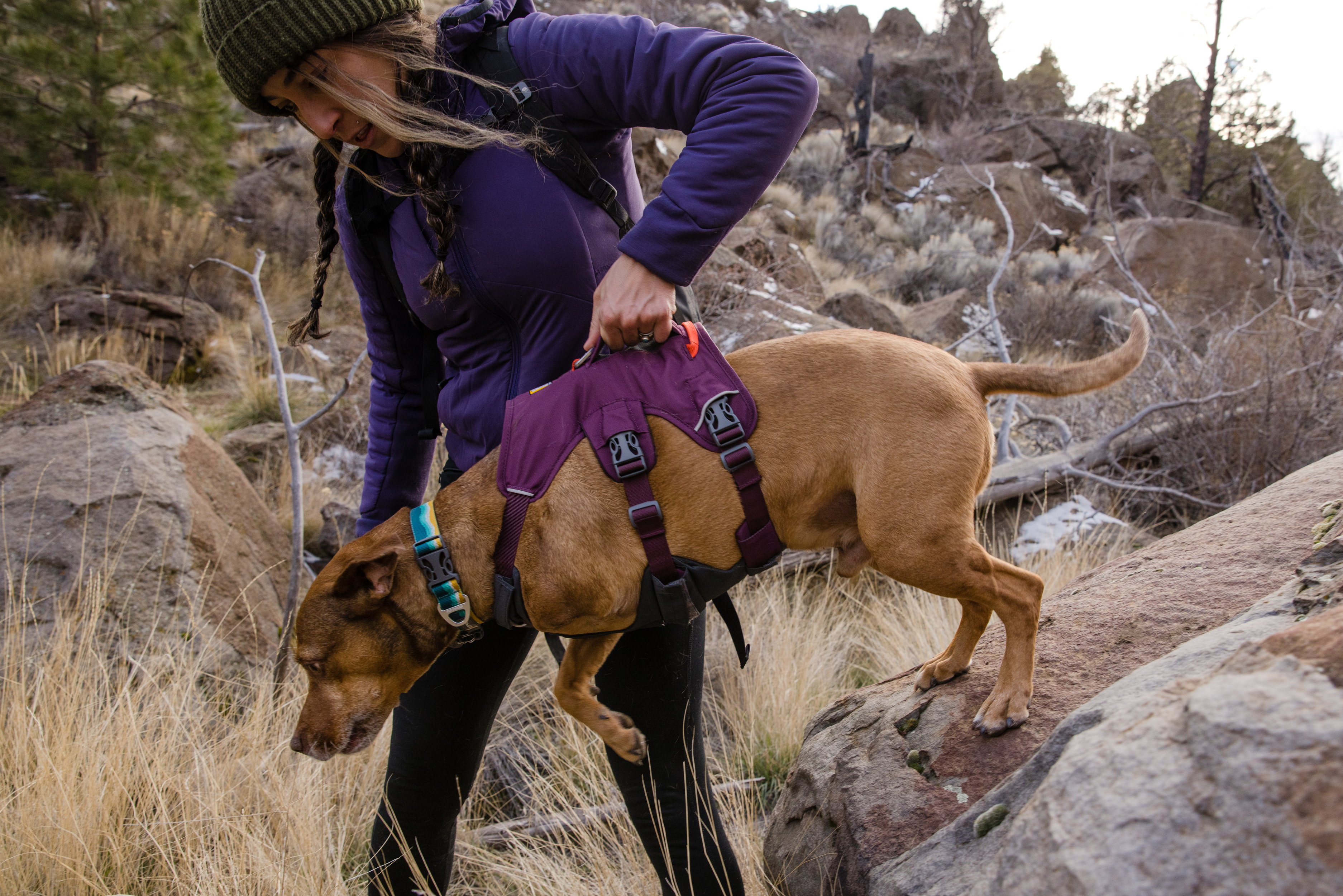 Ruffwear Web Master Valjaat - Purple Rain, XXS - vain tämä kappale - 15