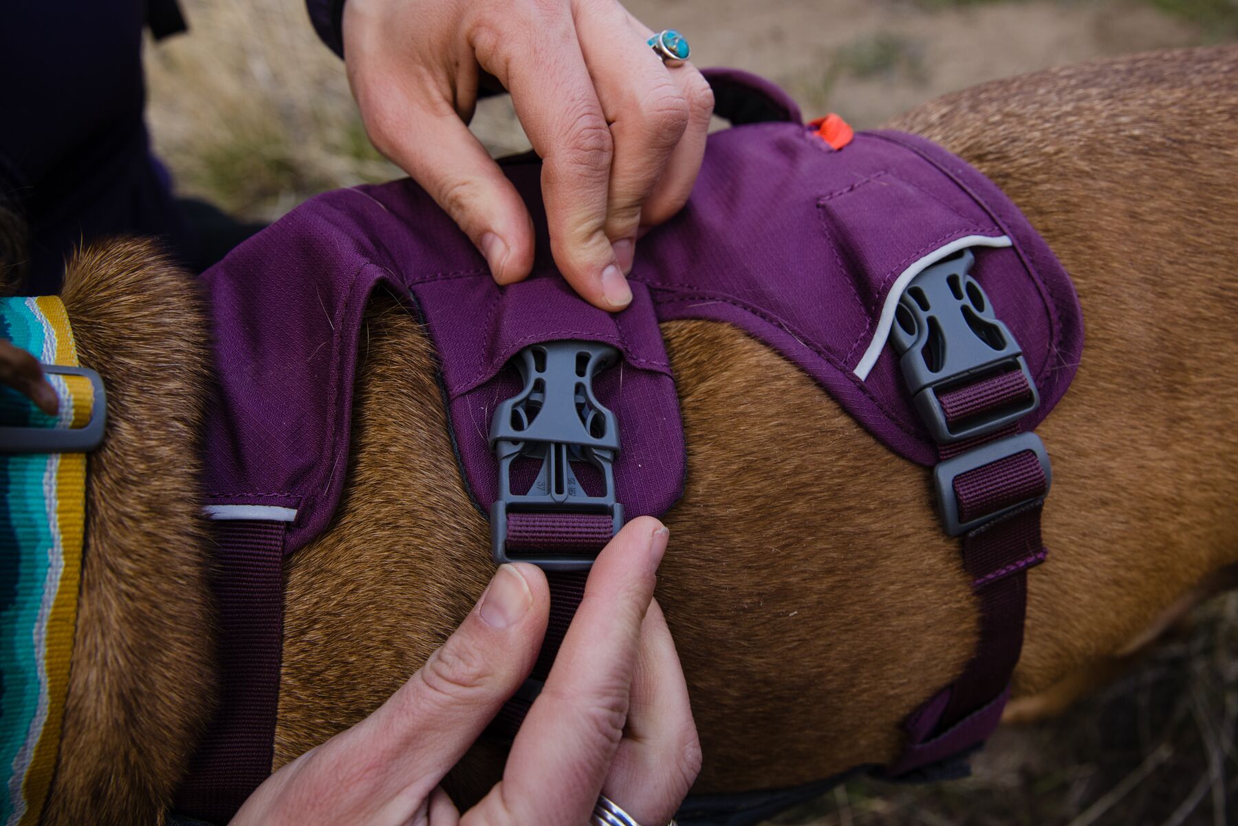 Ruffwear Web Master Valjaat - Purple Rain, XXS - vain tämä kappale - 3