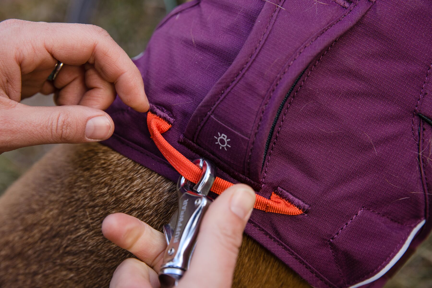 Ruffwear Web Master Valjaat - Purple Rain, XXS - vain tämä kappale - 9