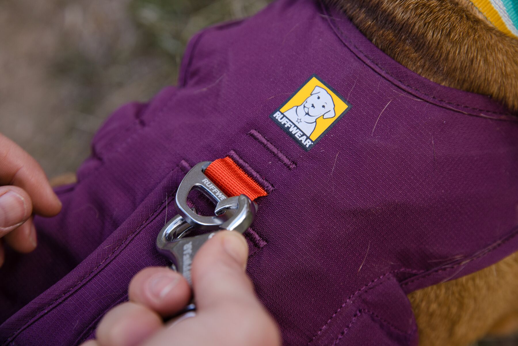 Ruffwear Web Master Valjaat - Purple Rain, XXS - vain tämä kappale - 6