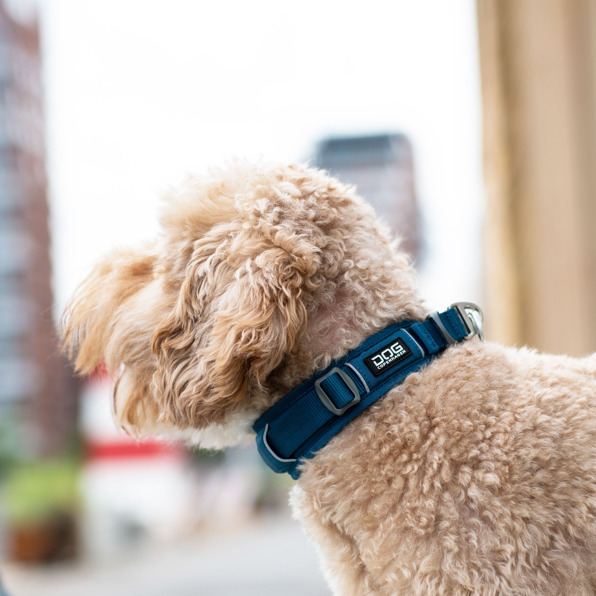 Dog Copenhagen Urban Explorer Halsband - Ocean Blue