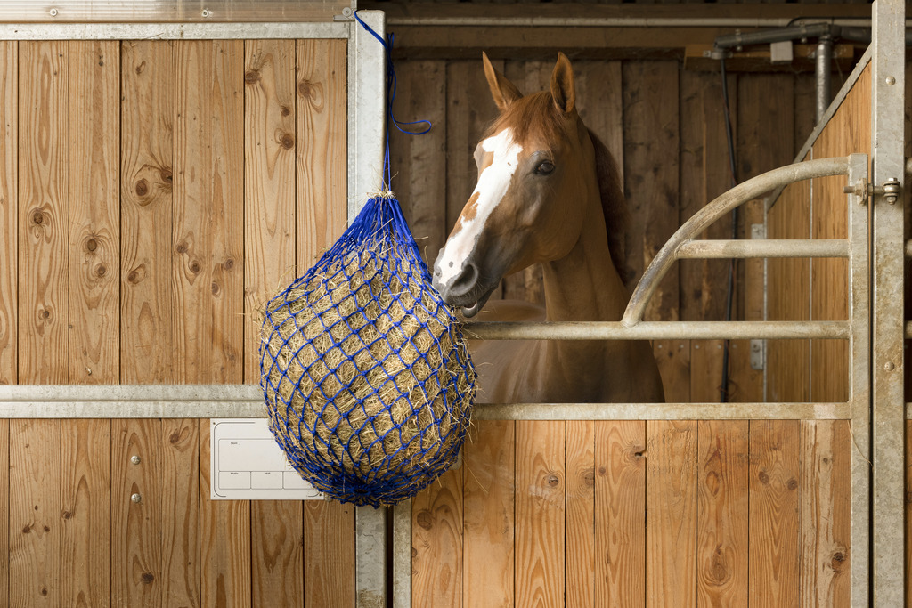 HIPPOTONIC Hönät Svart