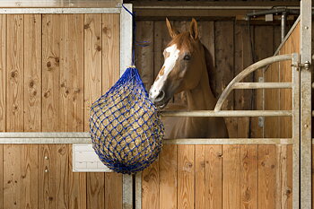 HIPPOTONIC Hay Net Orange