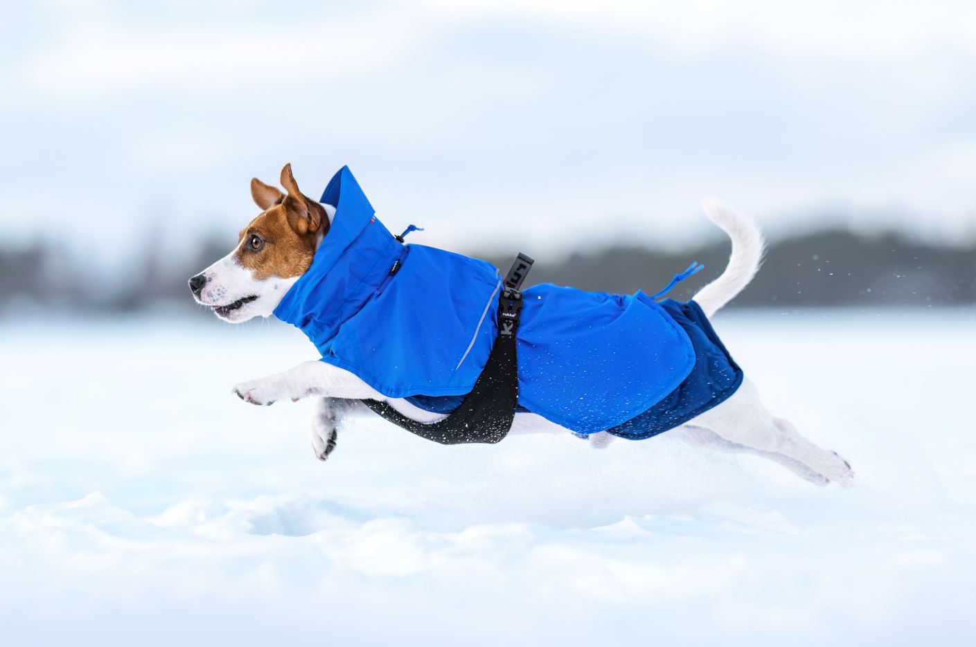 Rukka Pets Discovery 3In1 Coat Hundtäcke - Blå