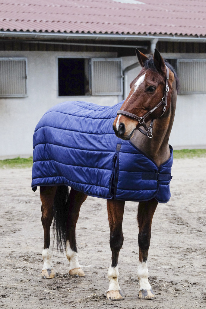 EQUITHEME 'Classic' Stalltäcke Navy 200 g, 7'0 - 160 cm - 2