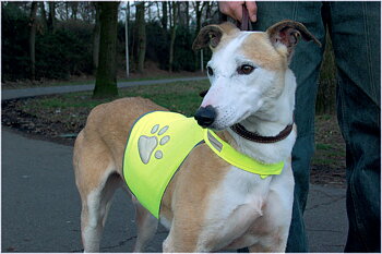Beeztees Safety & reflective vest with pawprint - Yellow