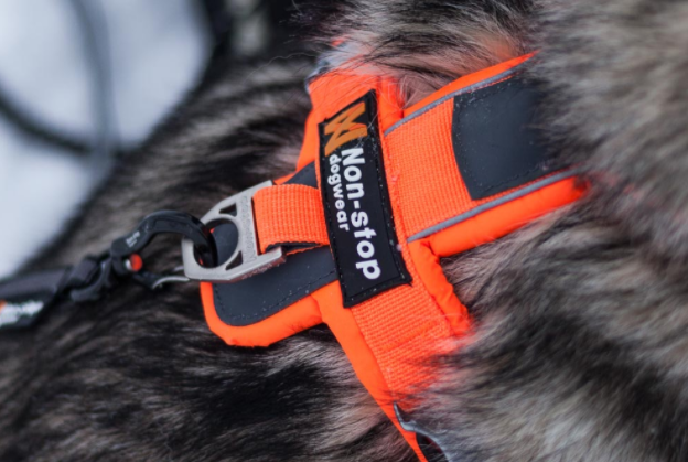 Non-stop Dogwear Line Valjaat - Oranssi