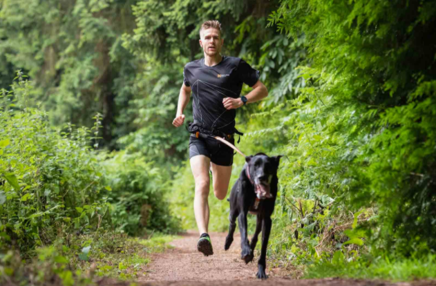 Non-stop Dogwear CaniX Vyö - canicross