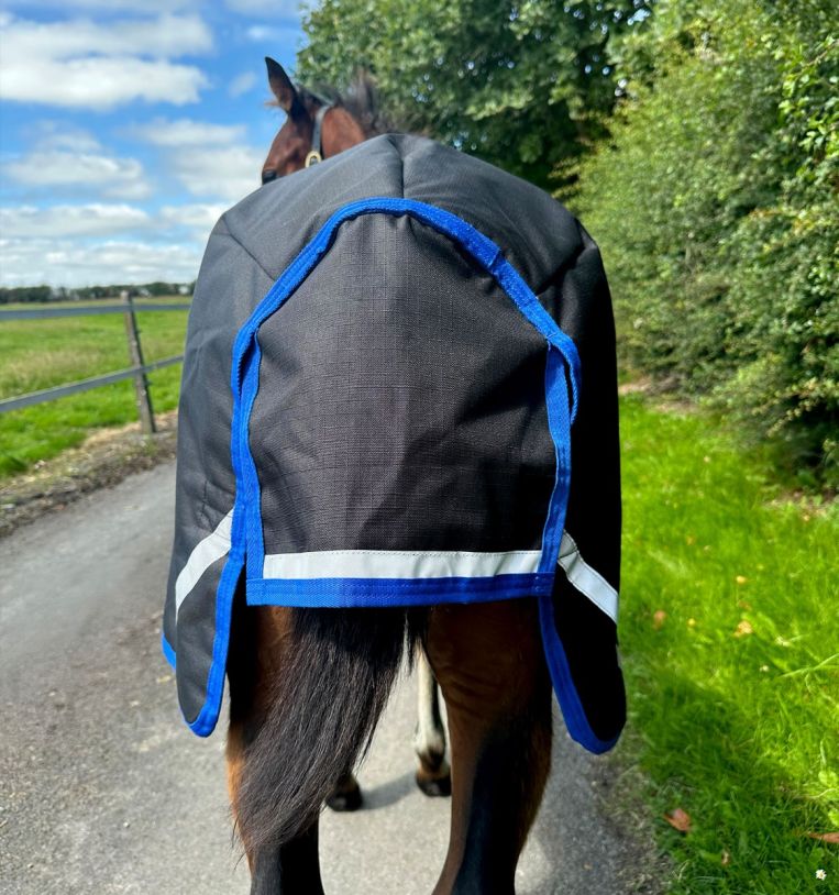 Horseware Amigo Ripstop 900D Foal Turnout 50g Black/Classic Blue - 2