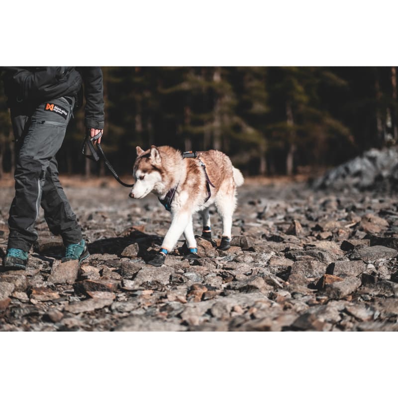 Non-stop Dogwear Protector Bootie - 4p - 6