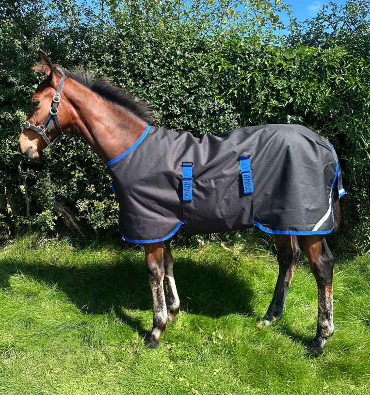 Horseware Amigo Ripstop 900D Föl Utetäcke 200g Svart/Klassisk Blå (4'6 - 90 cm)
