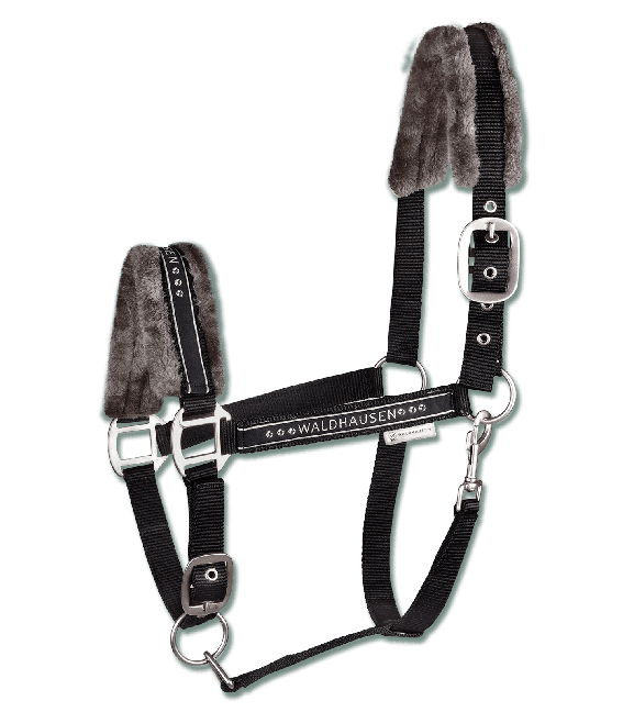 Riimu Waldhausen Elegant