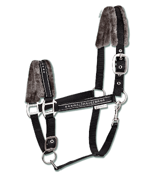Riimu Waldhausen Elegant