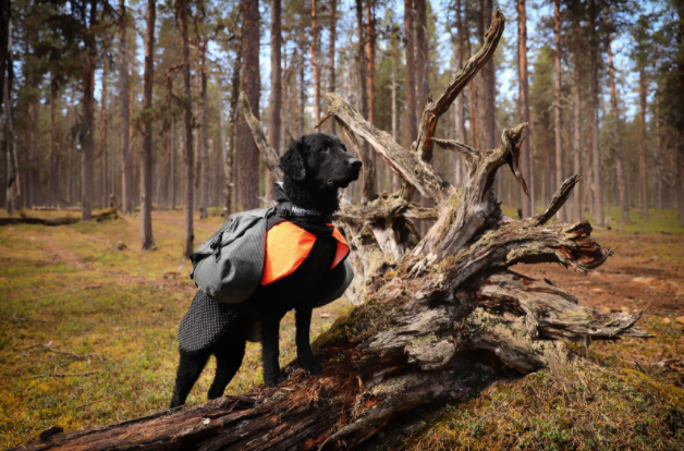 Non-stop Dogwear Amundsen Pack&nbsp; - 7