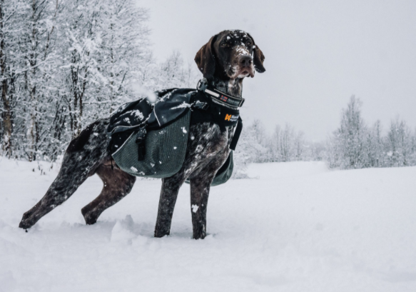 Non-stop Dogwear Amundsen Pack&nbsp; - 9