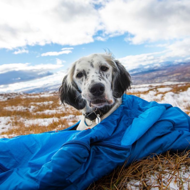 Non-stop Dogwear Ly Sleepingbag for dog - 9