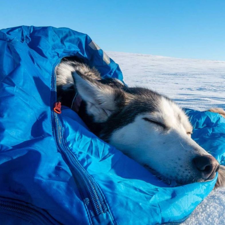 Non-stop Dogwear Ly Sleepingbag for dog - 11
