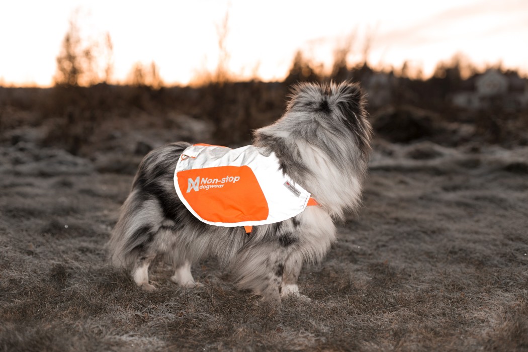 Non-stop Dogwear Reflection Blanket - 4