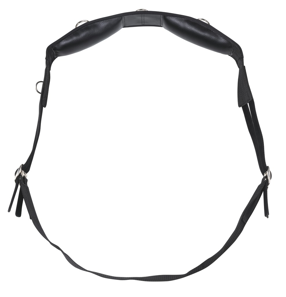 Synthetic RIDING WORLD Lunging Roller Black - 2