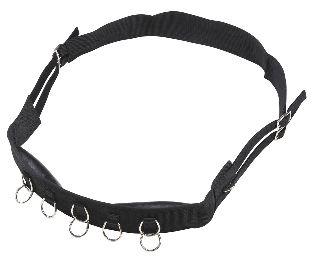 Synthetic RIDING WORLD Lunging Roller Black - 3
