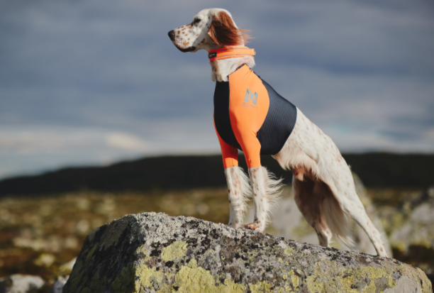 Non-stop Dogwear Protector T-shirt&nbsp; - 7