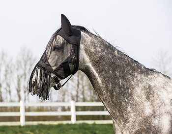 RIDING WORLD Light Fly Mask With Fringe Black - Full size