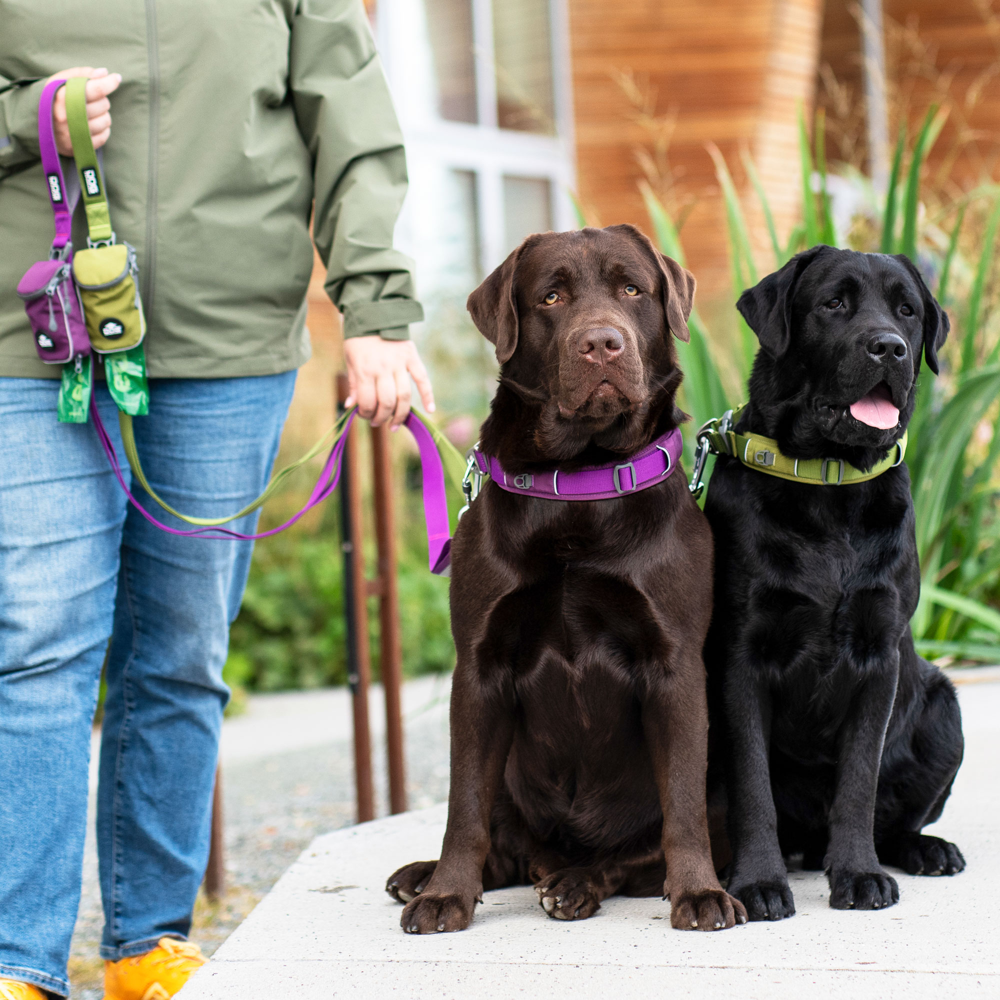Dog Copenhagen Urban Explorer Halsband - Hunting Green 