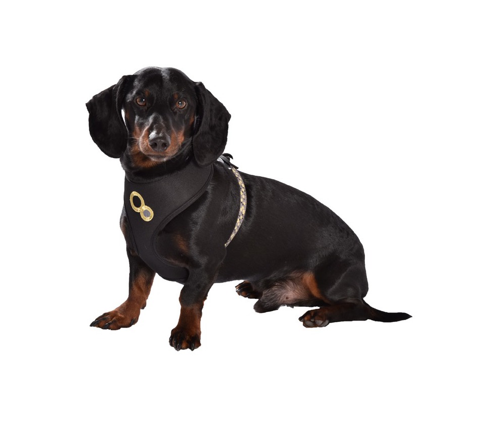 Bobby Chamane Nylon Hundsele T-Shirt - Svart, S - endast detta ex - 2