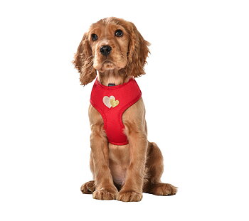 Bobby Lovely Nylon Hundsele T-Shirt - Röd, 32-45cm - endast detta ex
