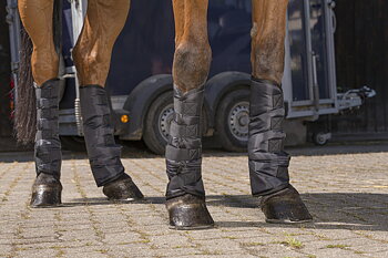 RIDING WORLD Matalat Kuljetussuojat Musta - Full size