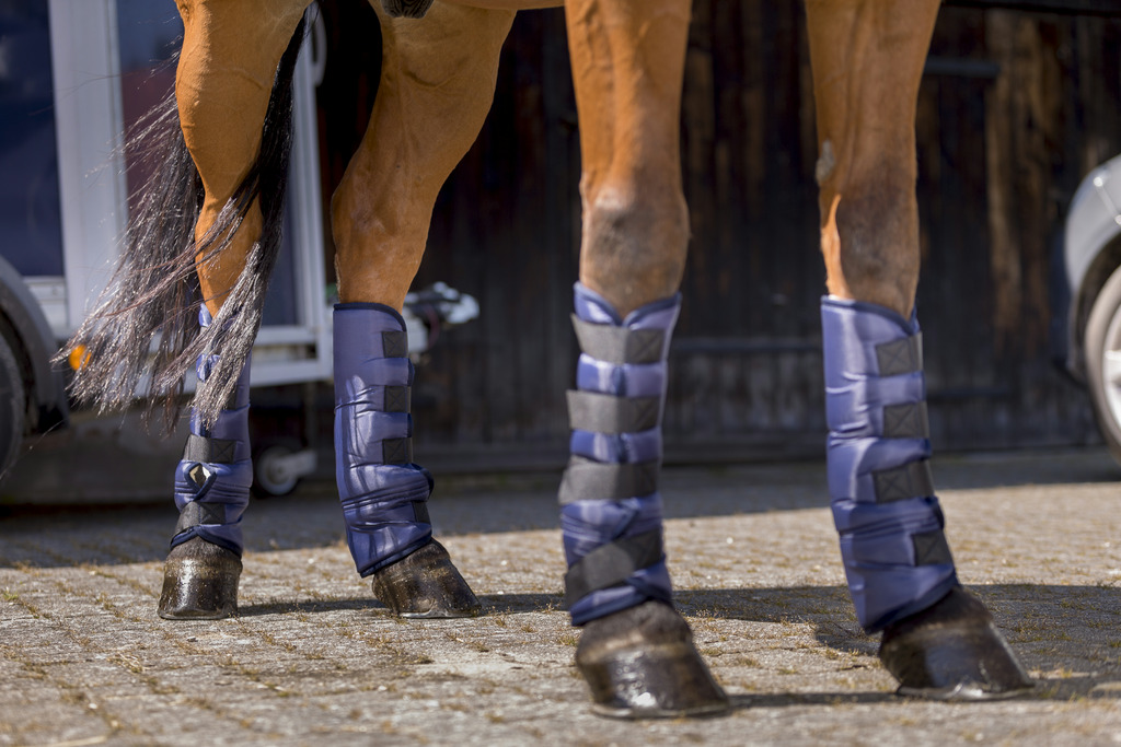 RIDING WORLD Matalat Kuljetussuojat Navy - Full size - 2