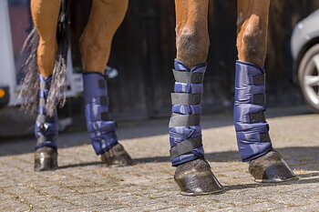 RIDING WORLD Matalat Kuljetussuojat Navy - Full size