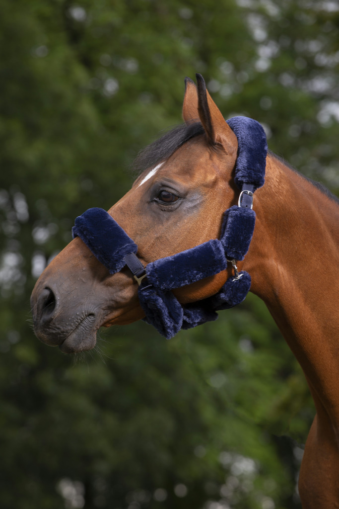 EQUITHEME 'Teddy' Nosludd Set För Grimma Navy - 2