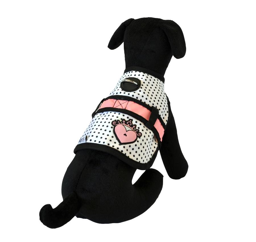26 Bars & a Band Avant Garde Couture Dog Harness, 19cm - only this copy