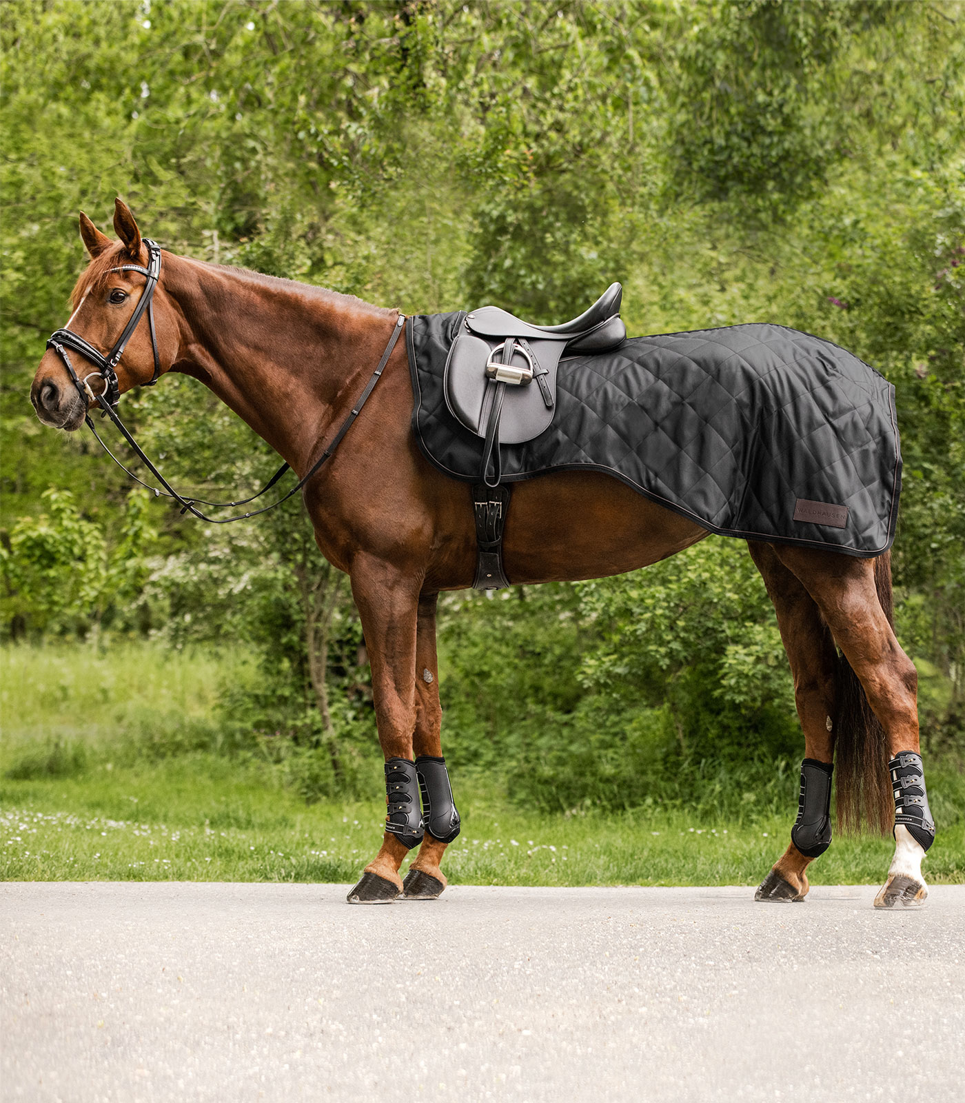 Waldhausen Exclusive Ländtäcke svart (Ponny)
