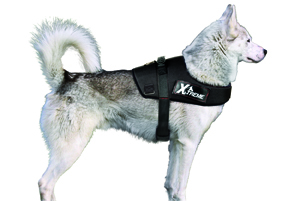 FOP X-TREME Dog Harness Camouflage, S - only this copy - 4