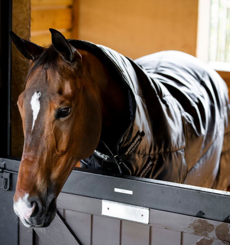 Horseware Amigo Ripstop Insulator Plus Stable 200g Black/Black & Silver