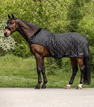 Waldhausen Exclusive Horsewalker Sheet, 50g black