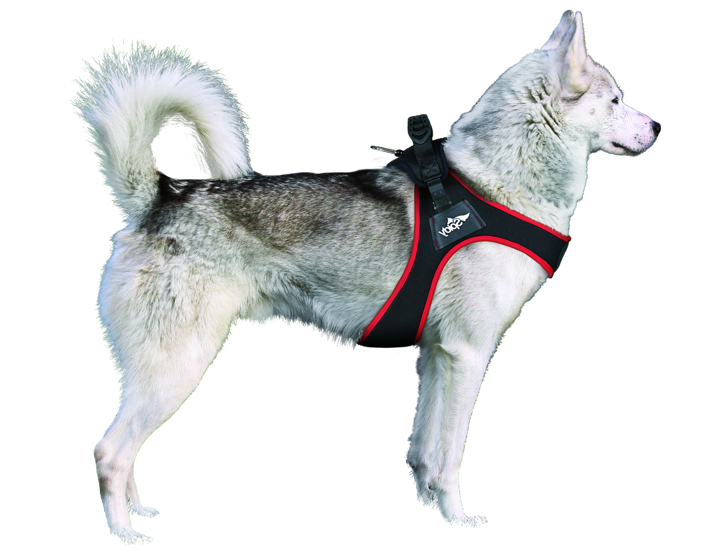 FOP Spidy Dog Harness Viola, L - 20/26 cm - only this copy - 4