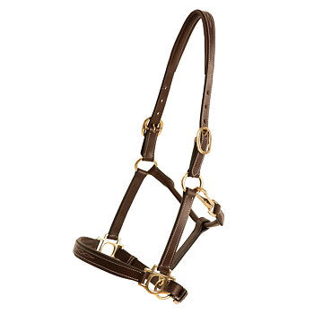 Leather Halter Fancy - Brass