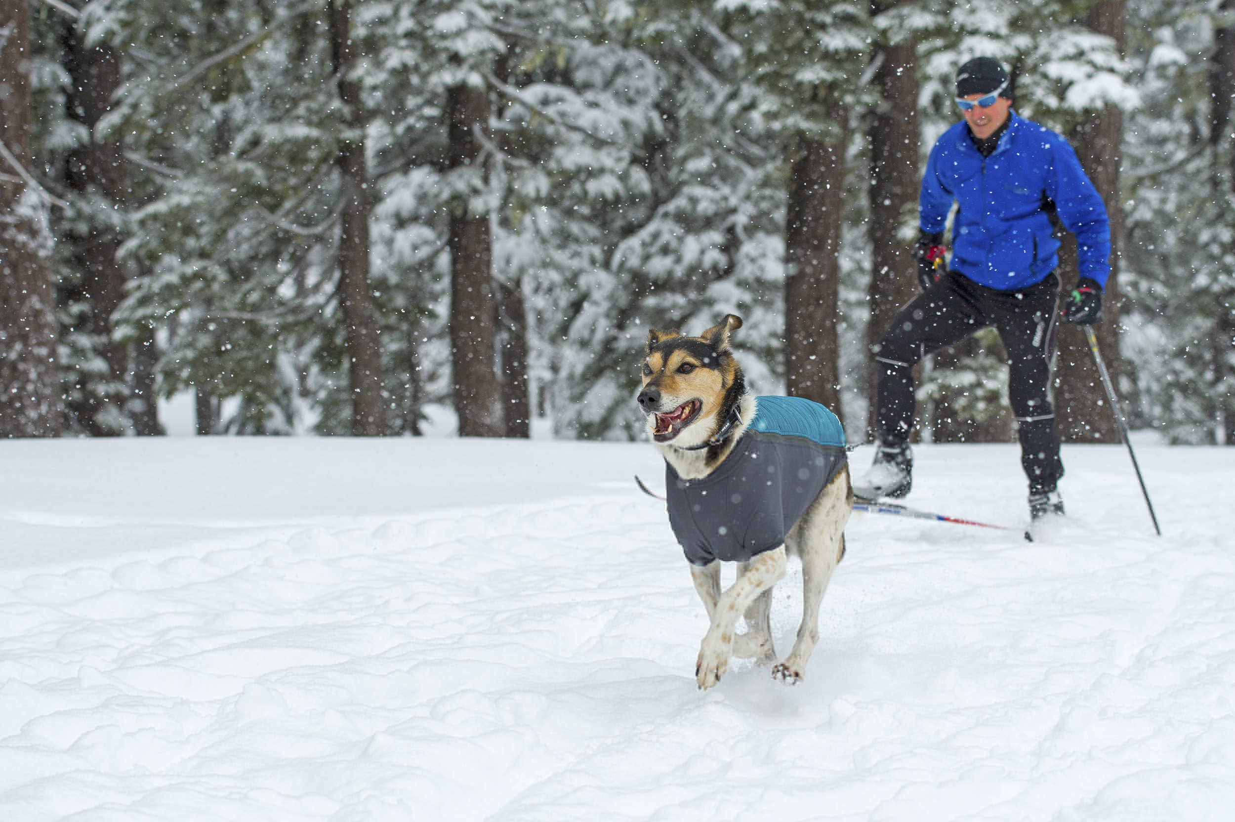 Ruffwear Powder Hound Hundejakke - Baja Blue - 4