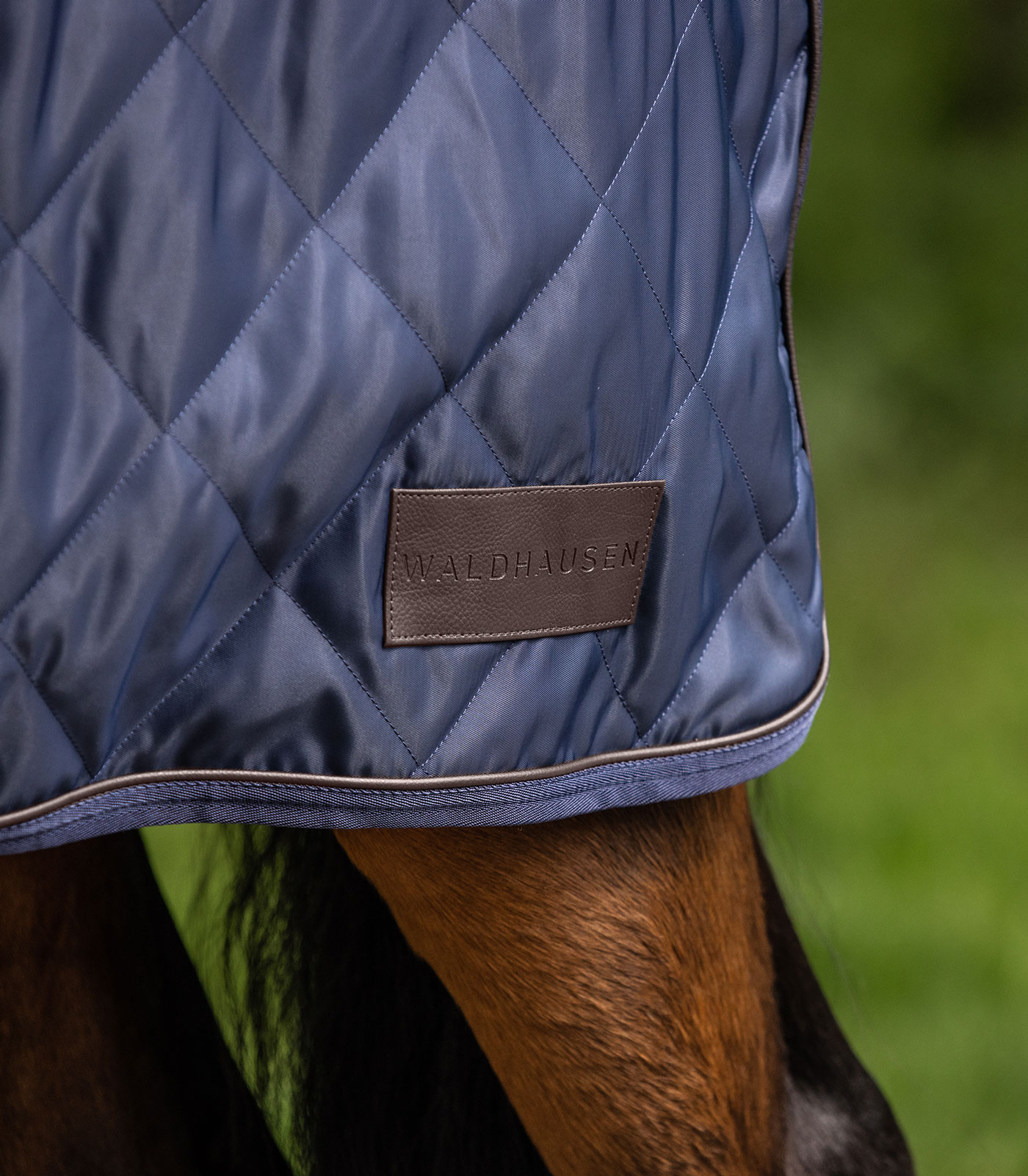 Waldhausen Exclusive Kävelytysloim, 50 g yönsininen - 3