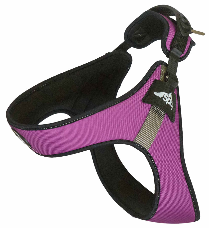 FOP Spidy Dog Harness Viola, XL - 25/30 cm - only this copy - 2