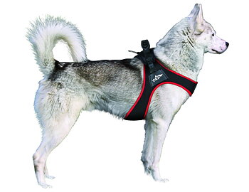 FOP Spidy Hundsele Viola, XL - 25/30 cm - endast detta ex