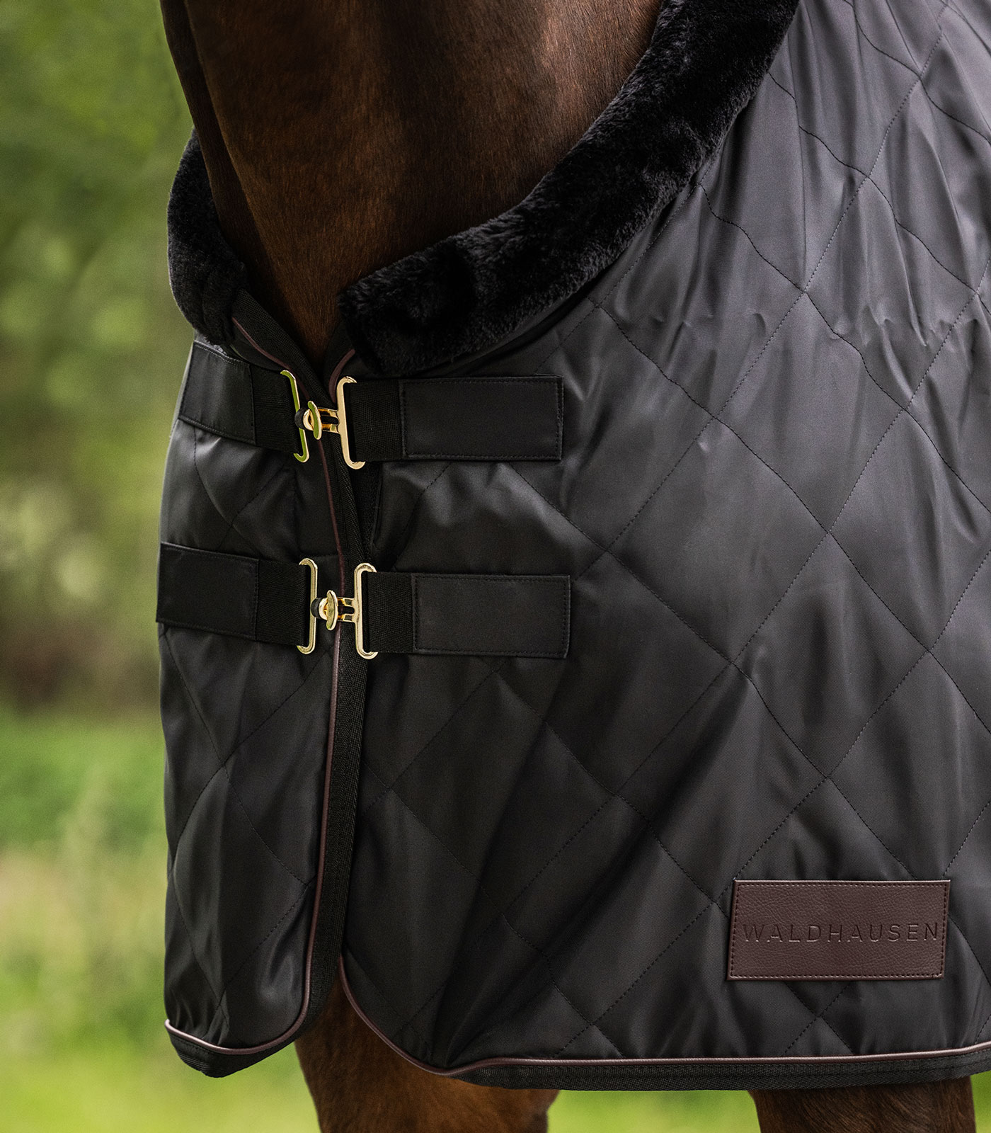Waldhausen Exclusive Travel Rug black - 3