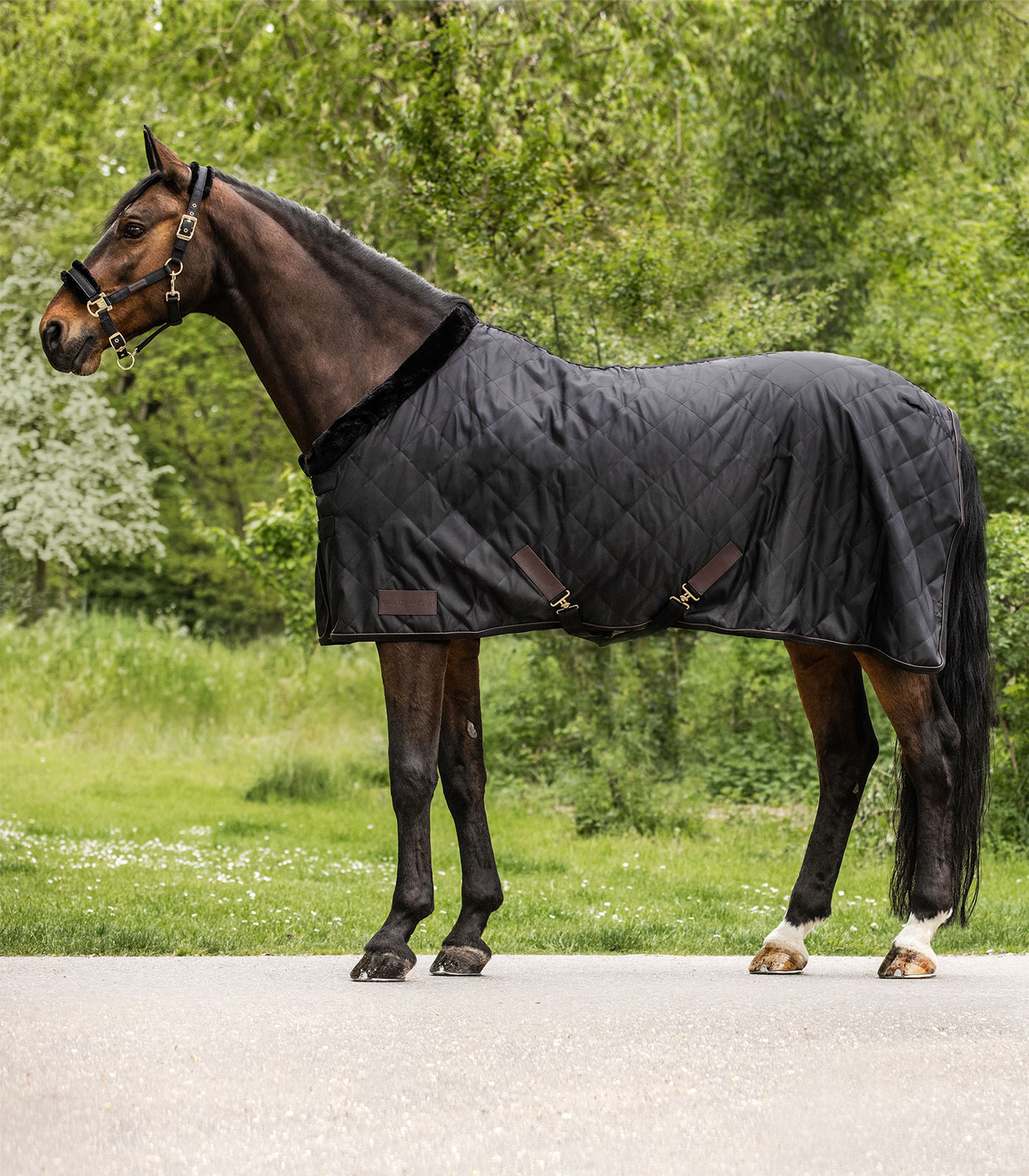 Waldhausen Exclusive Travel Rug black